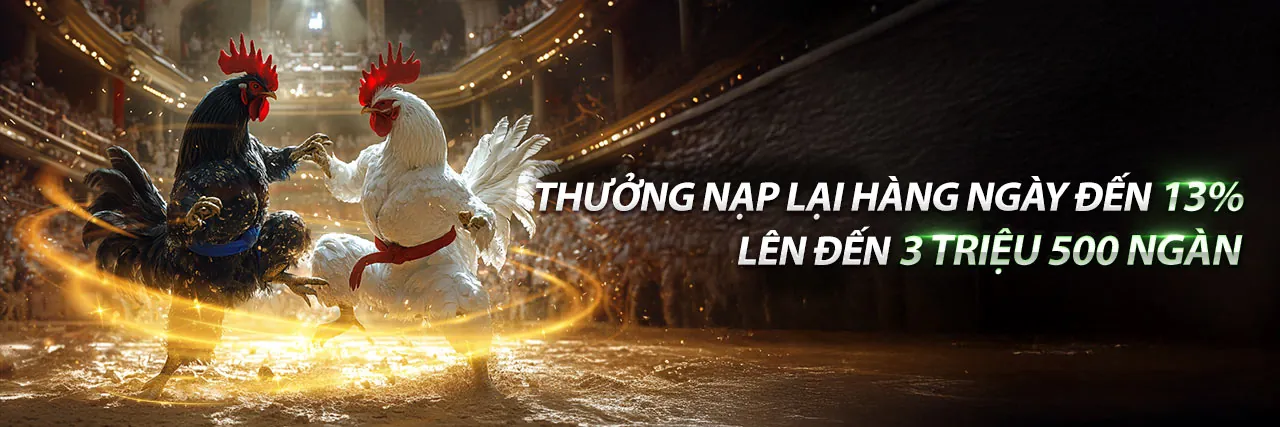 Đá gà Thomo ngày 26 tháng 3 năm 2024